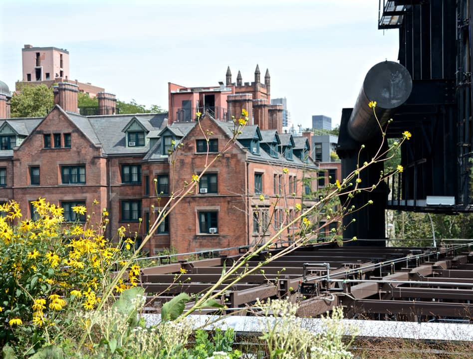 Entlang des High Line Parks in New York, der auf keinem Sightseeing Ausflug fehlen darf, kann man die Architektur bestaunen.