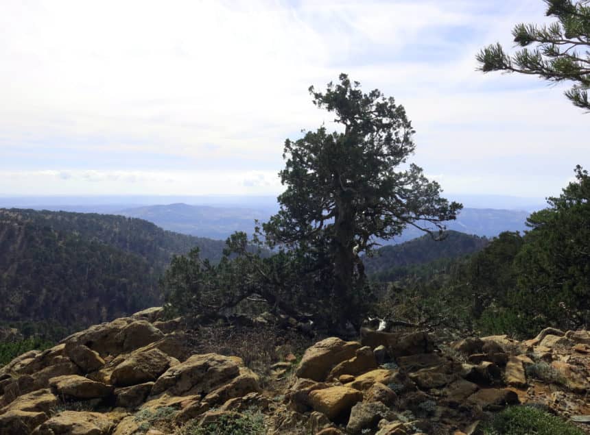 Im Troodos-Gebirge die Natur von ihrer schönsten Seite erleben.
