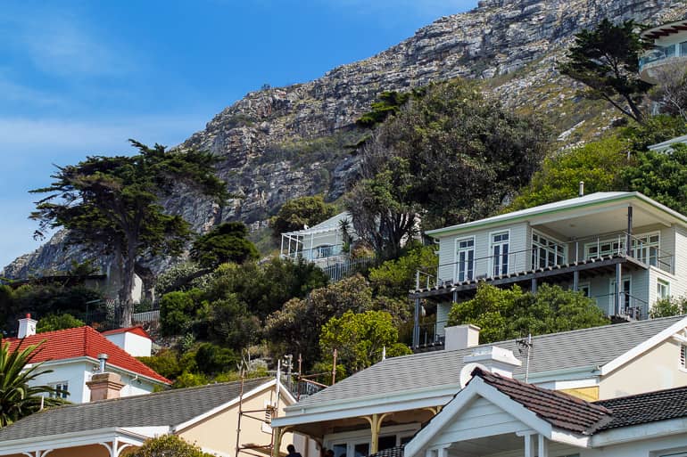 Am grünbewachsenen Hang des Muizenbergs in Südafrika stehen Villen.