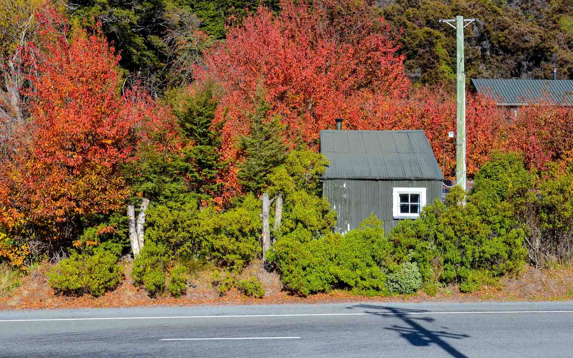 Neuseeland Reise: die 11 extremen Highlights des Landes