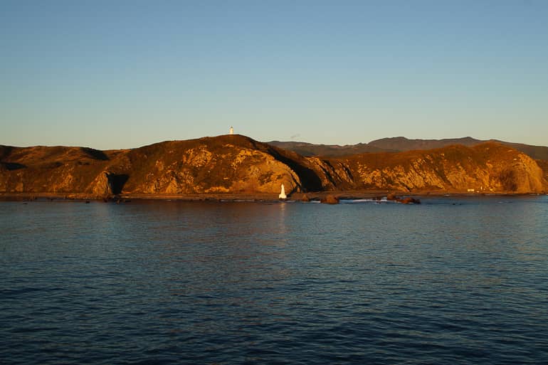 Sonnenuntergangsstimmung auf der Fähre nach Wellington.