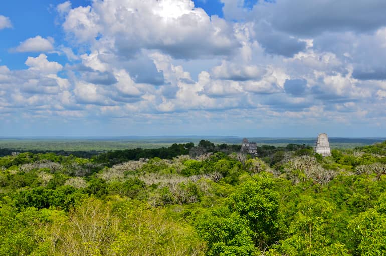 Tikal von oben: Viele Tempel reichen über das Blätterdach hinaus.