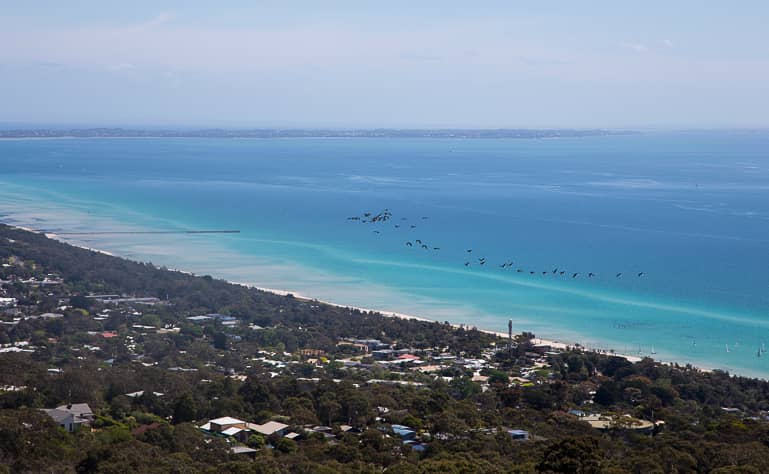 Traumhafte Landschaft findet man in Yarra Valleys Mornington Peninsula: Üppige Vegetation am Sandstrand und das in verschiedenen Blautönen schimmernde Meer.