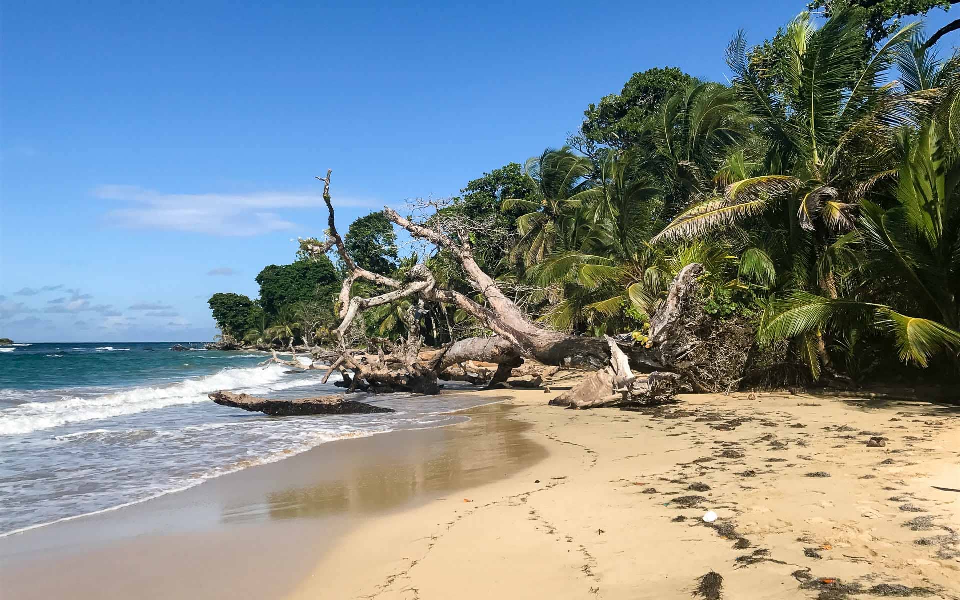 Gegensätze erkunden: Panama City und Bocas del Toro