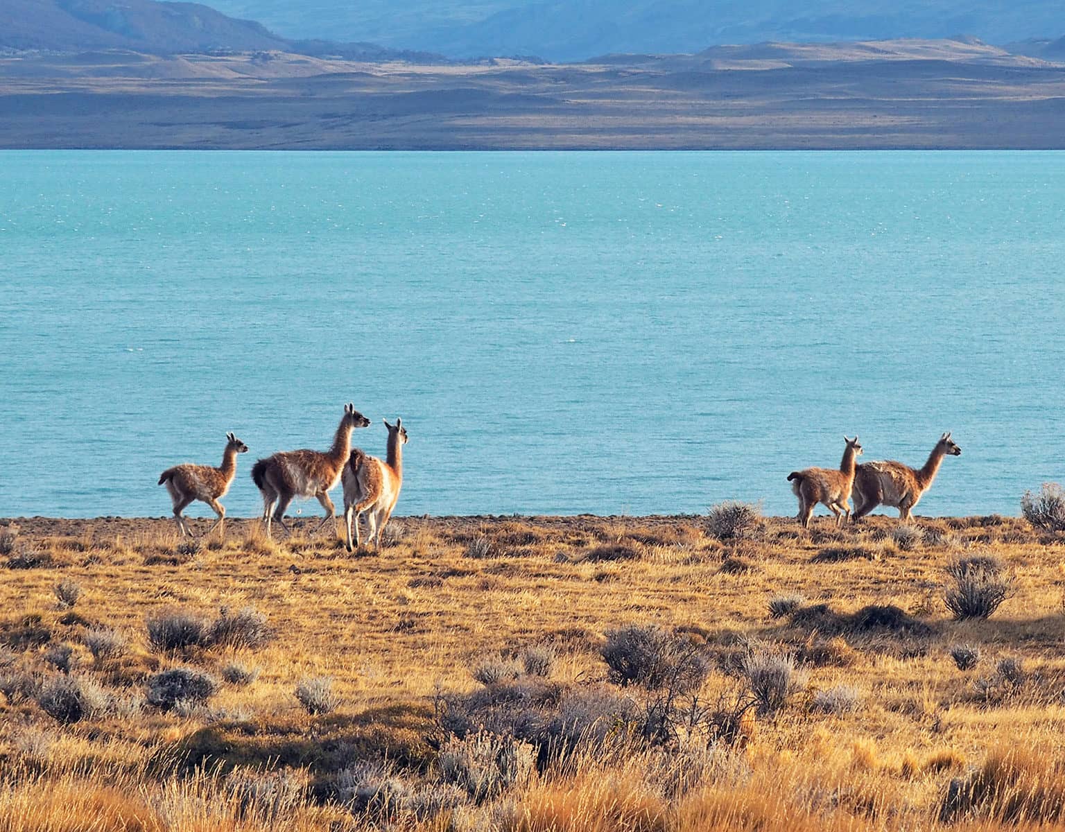 Chile Lago San Martin