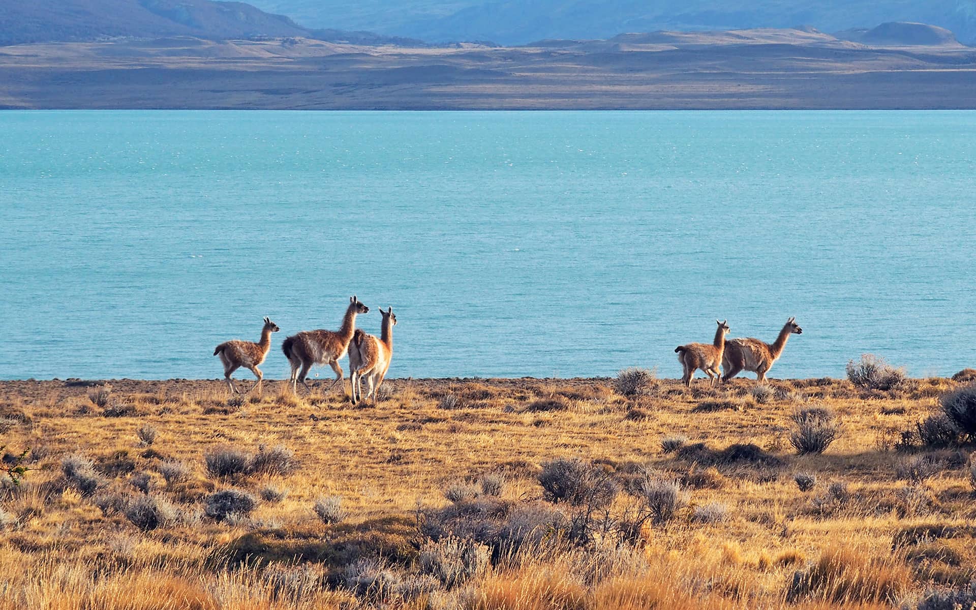 Chile