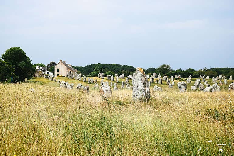Ein Meer aus Hinkelsteinen in Carnac.
