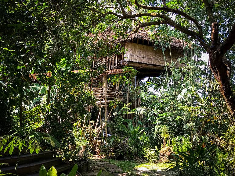 Grüne Oase mitten in der Großstadt Palangka Raya: das Bukit Raya Guesthouse.
