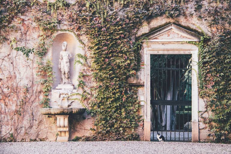 Katze im Giardino Giusti in Verona