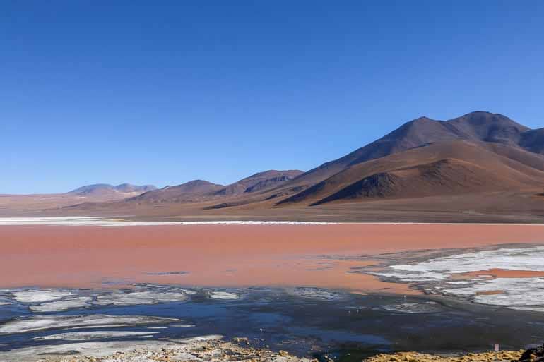 An der Laguna Colorada traut man seinen Augen kaum, aber tatsächlich sind Algen für die Färbung verantwortlich.