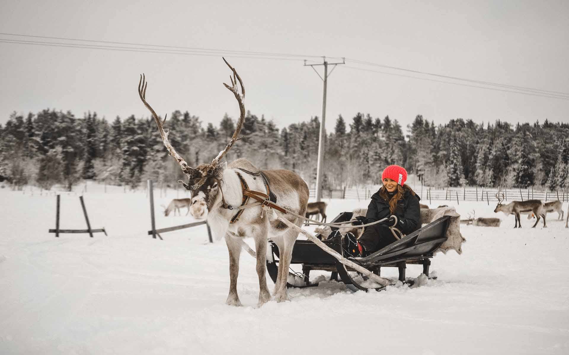 Finnland