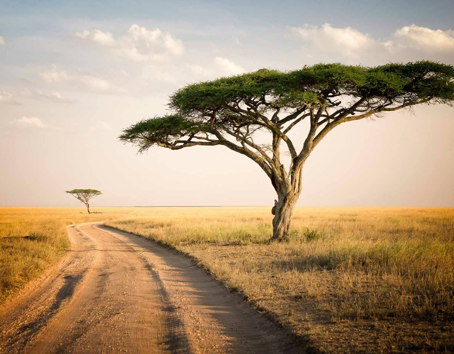 Afrika