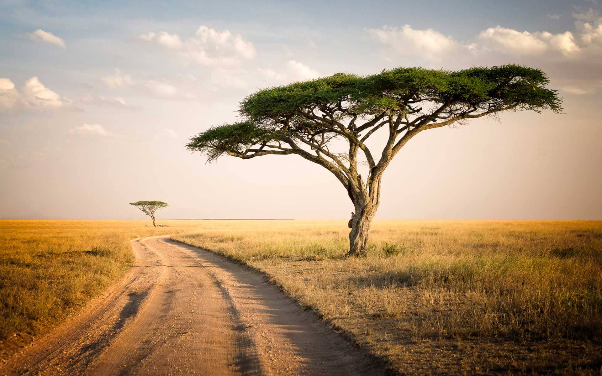Afrika