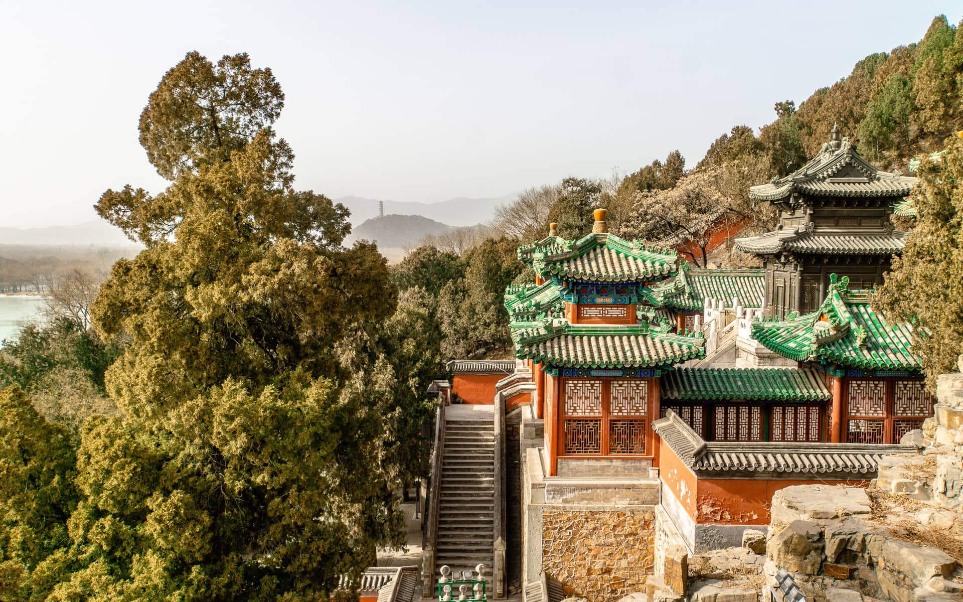 Peking: Eine Liebe auf den zweiten Blick