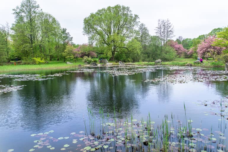 Ein Teich im Botanischen Garten.
