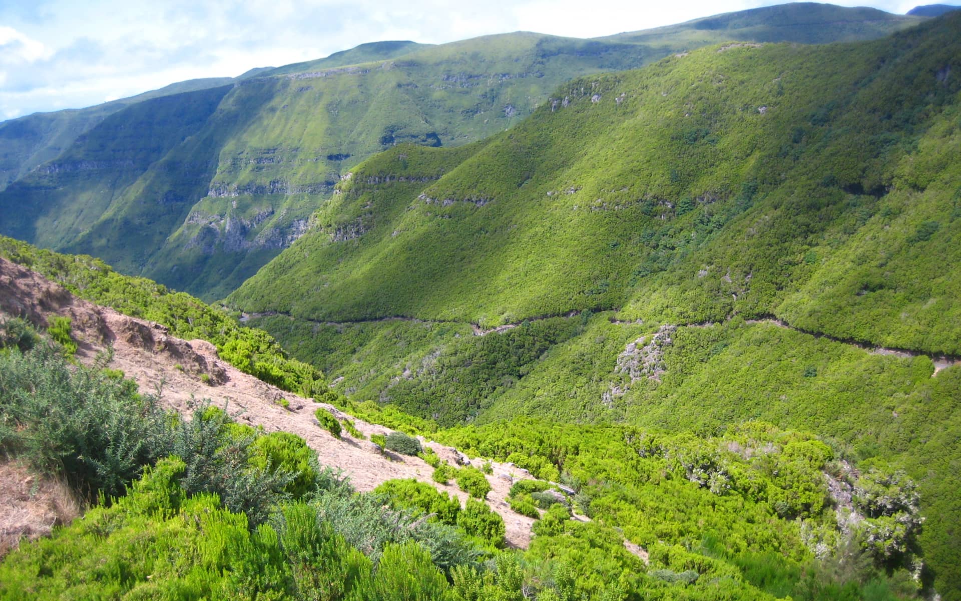 Die besten Outdoor Aktivitäten auf Madeira