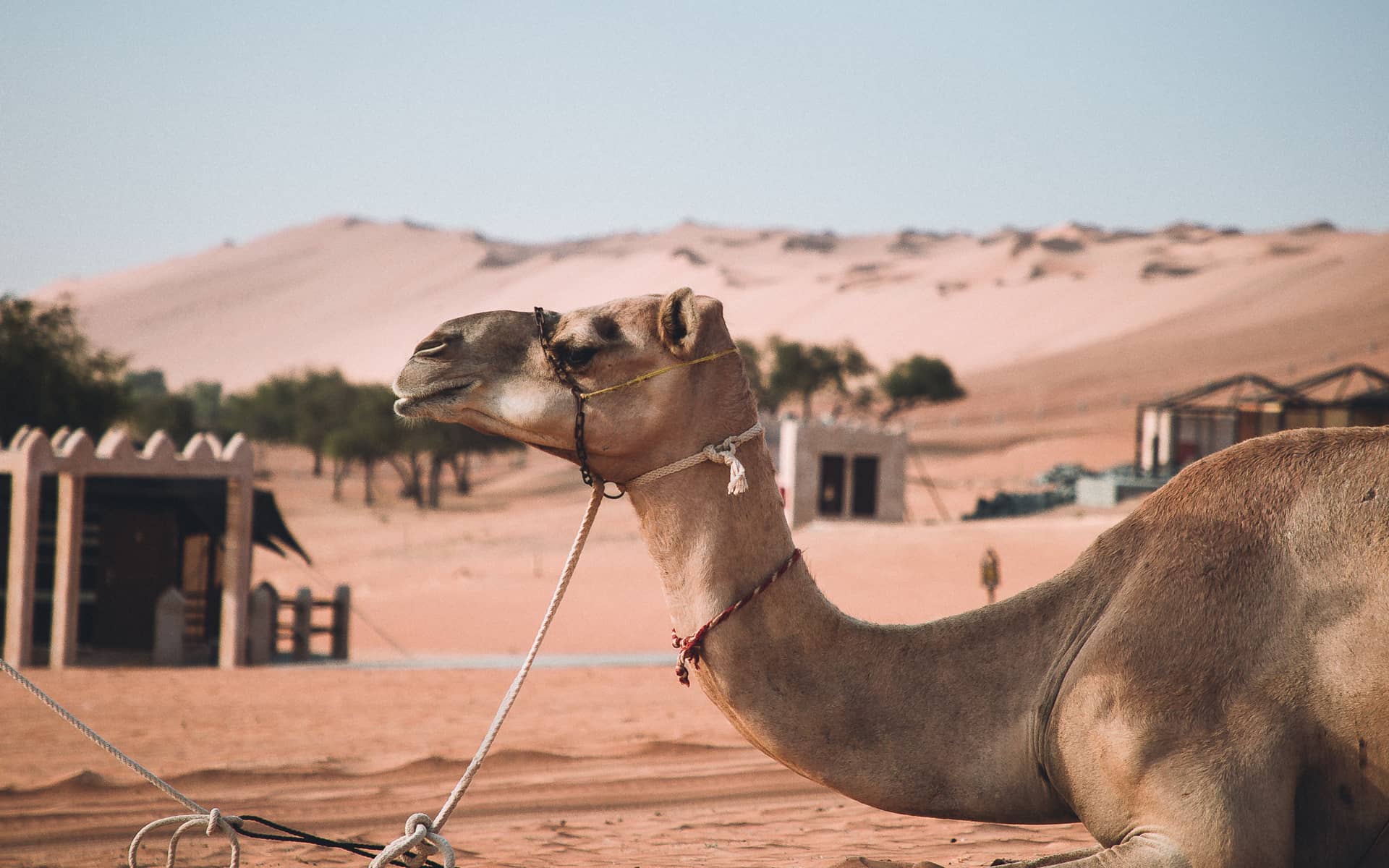 Die beste Route für deine Rundreise durch den Oman!