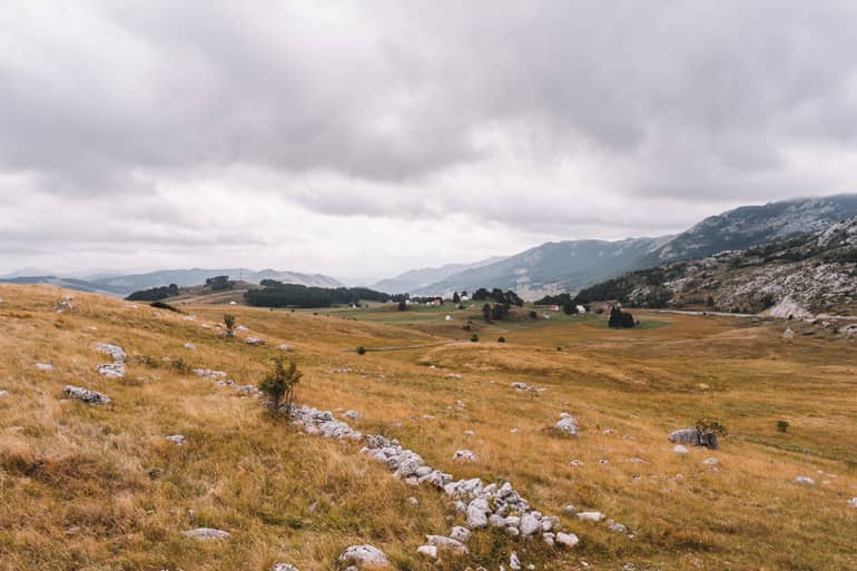Eine große Wiese mit Bergen im Hintergrund – der Durmitor Ring, noch ein echter Geheimtipp.