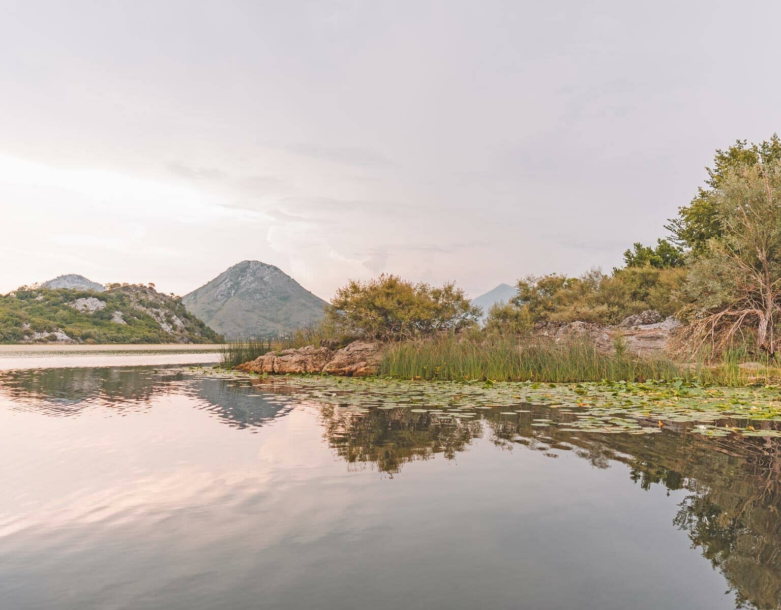Skadarsee in Montenegro im Morgenlicht.