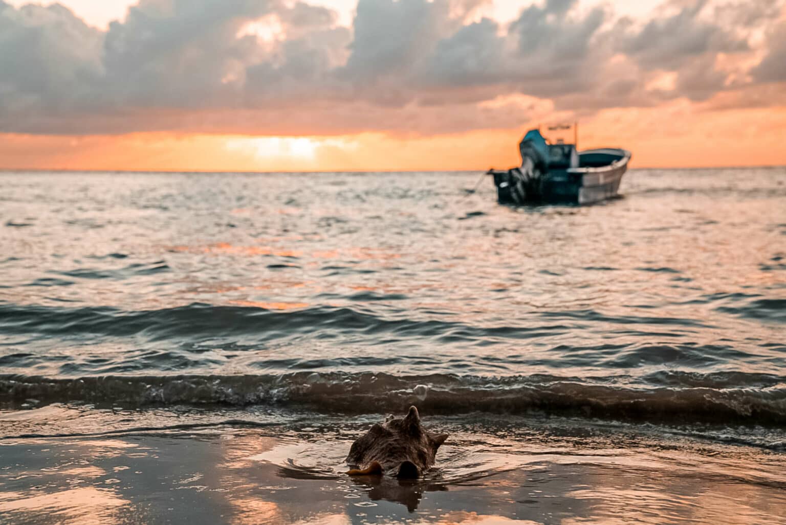 Magisch sind die Sonnenaufgänge auf Providencia.
