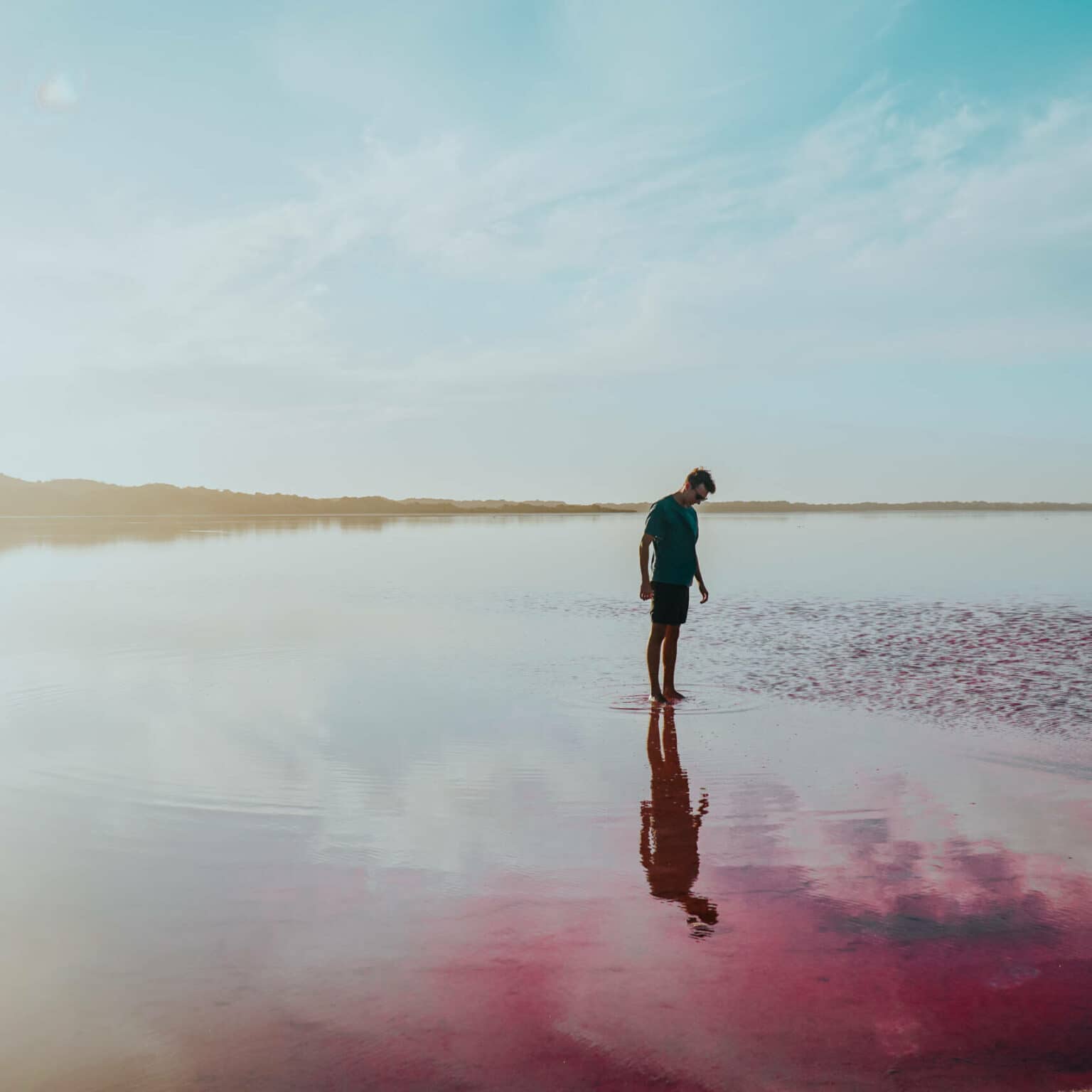 Ein Mann steht im Wasser und schaut sich die lila Wasseroberfläche an