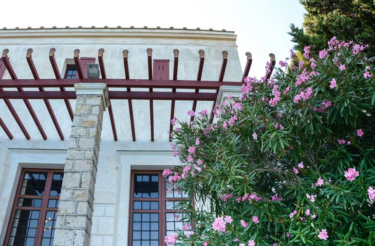 Blumen die vor einem alten Haus wachsen.
