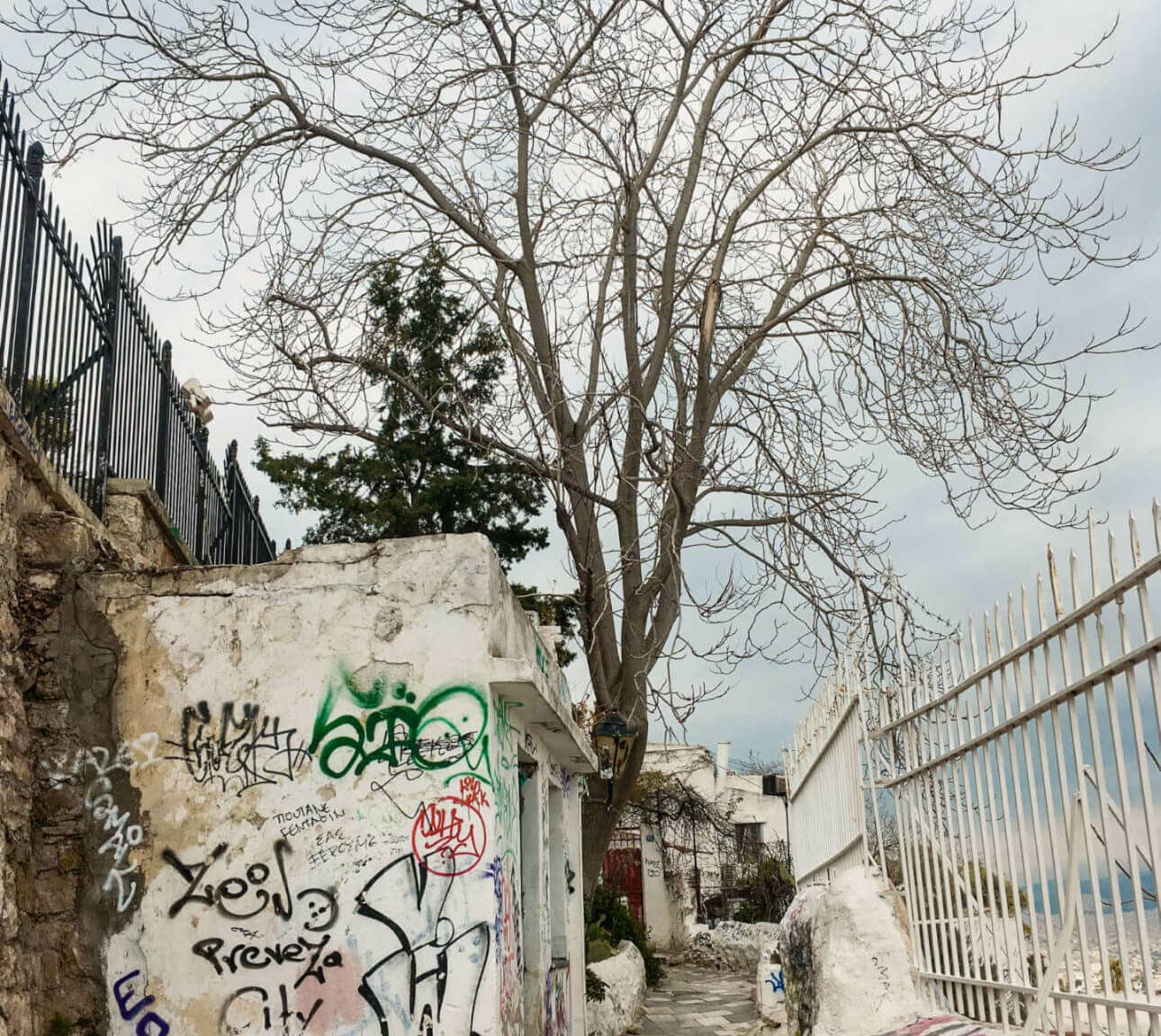 Kleine Gasse zwischen besprühten Mauern und Zäunen, ein Baum ohne Blätter.