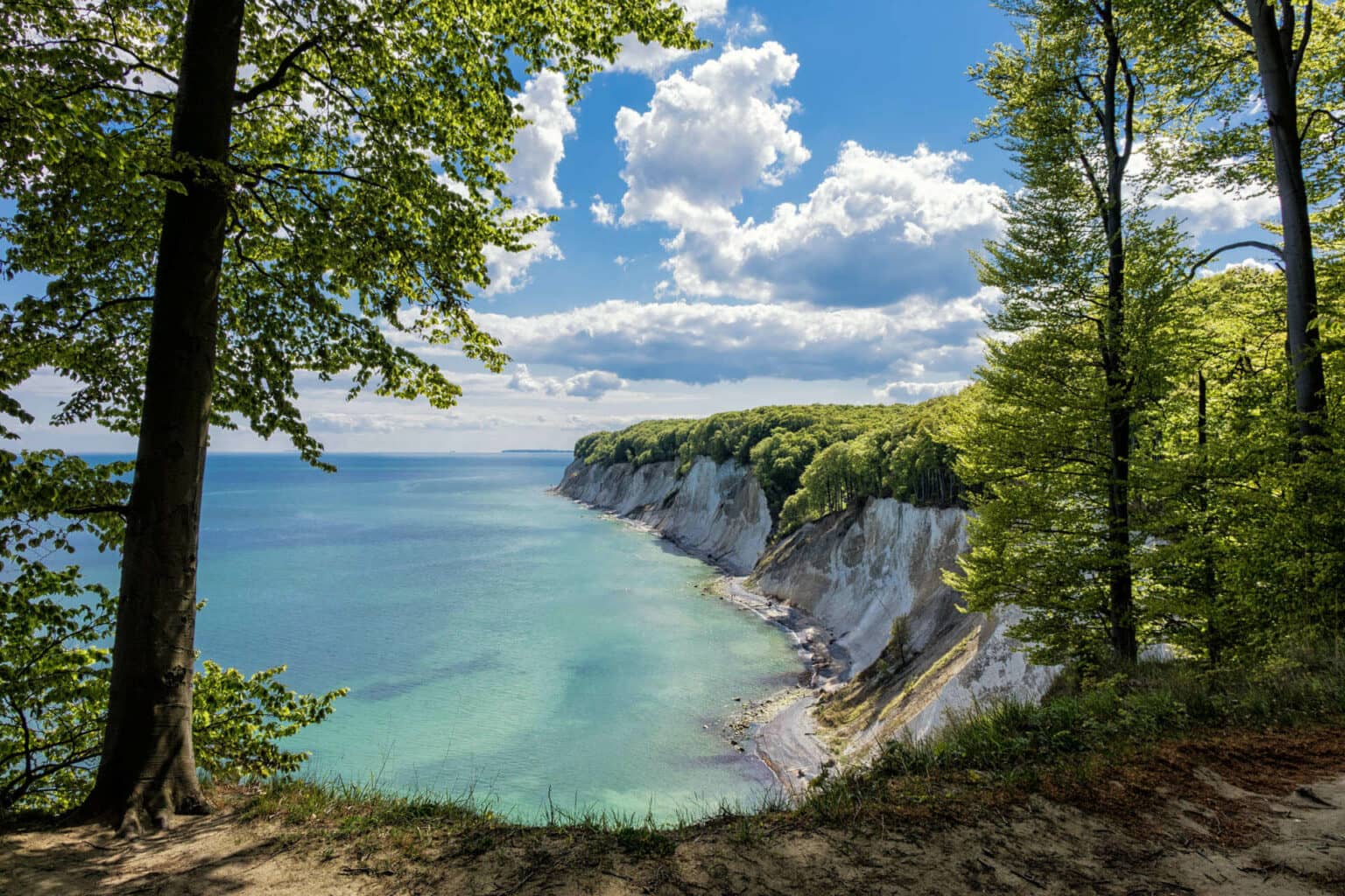 Die größte Ostseeinsel Rügen ist für ihre Kreidefelsen bekannt. Foto: © iStock - RicoK69