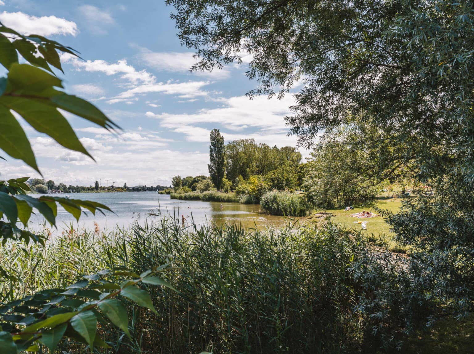 Blick durch Bäume und Schilf auf die Lagerwiese Romaplatz, ein idyllischer Badeplatz am Ufer der Alten Donau in Wien.