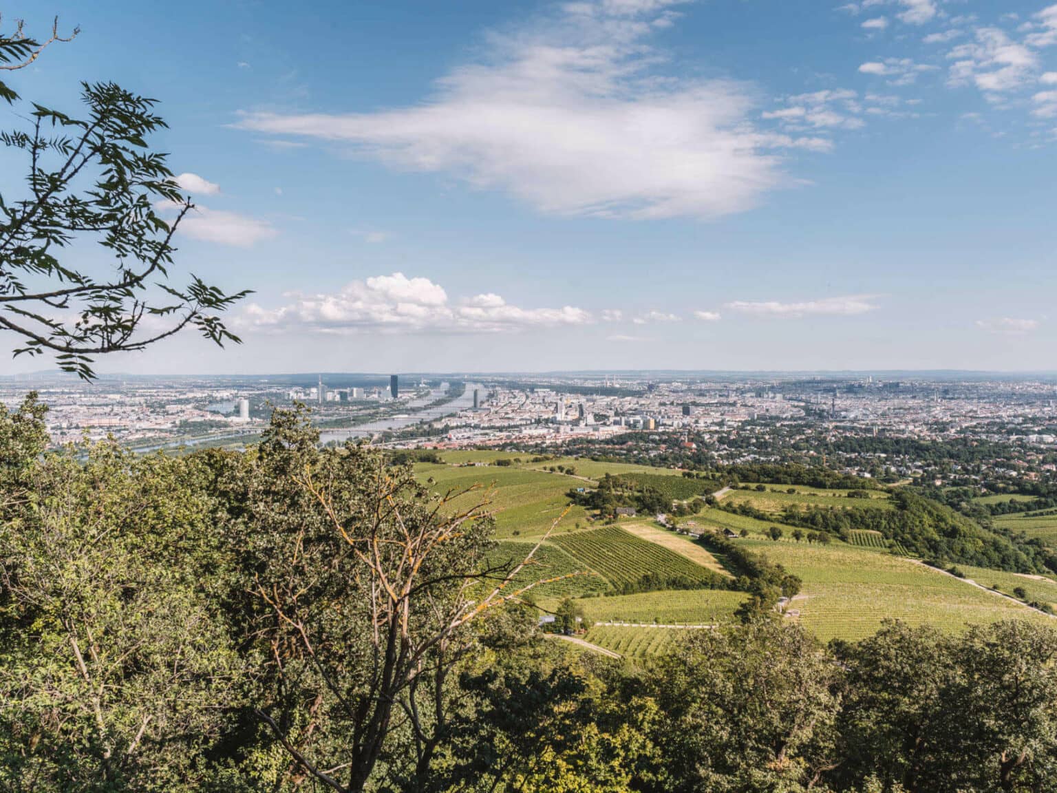 Wien von oben: Panoramablick vom Kahlenberg auf die österreichische Hauptstadt.