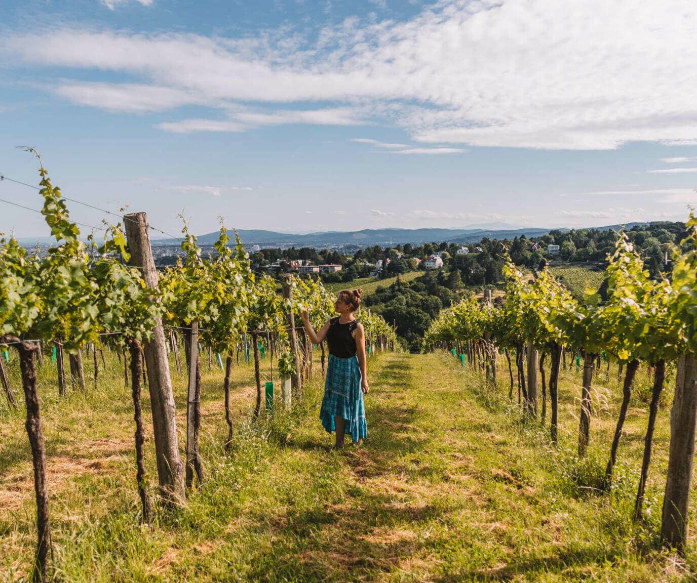 Reisebloggerin Melanie streift durch die Weinberge vor den Toren Wiens.