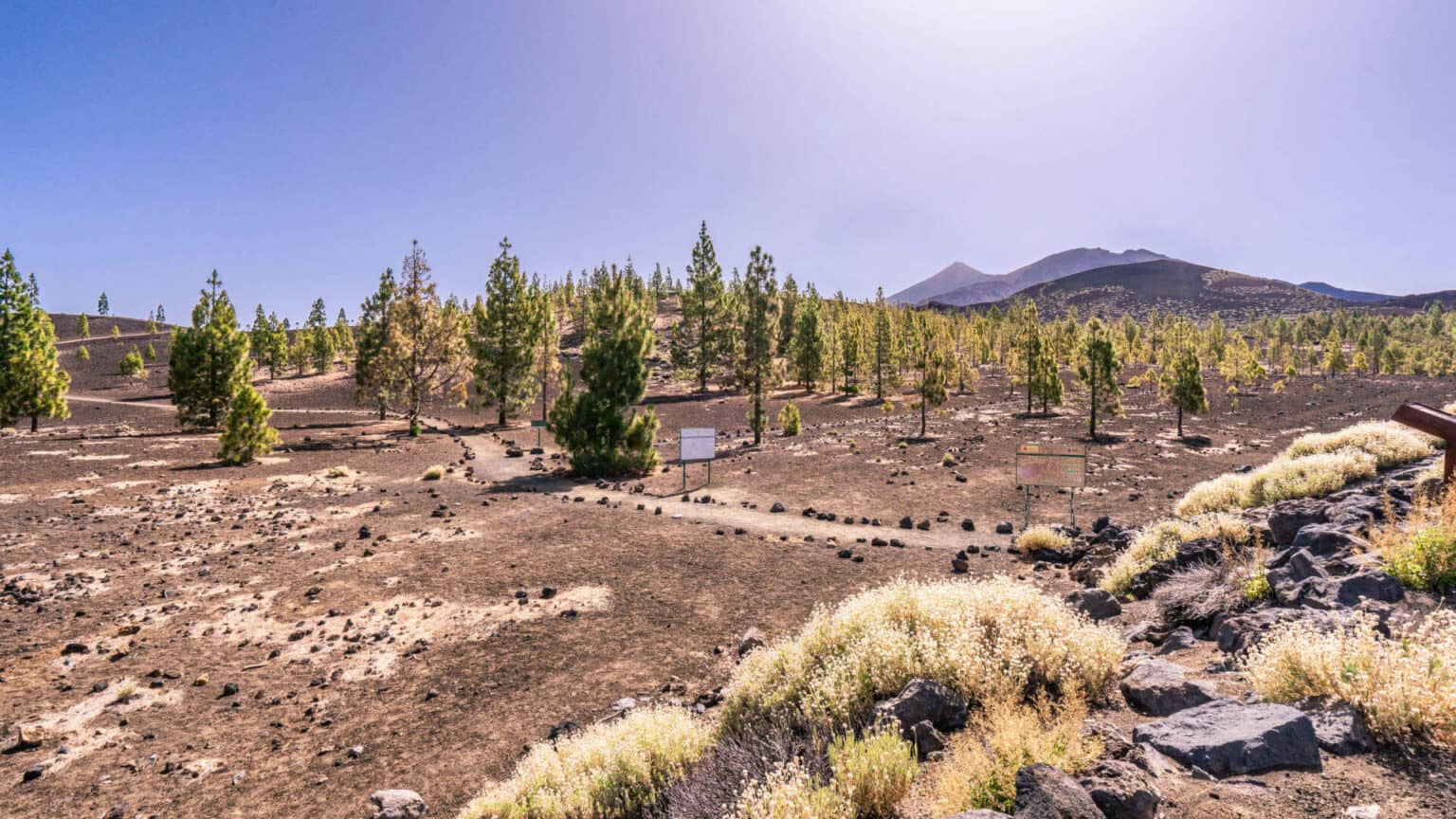 Karg und trostlos, aber trotzdem eindrucksvoll: der Teide Nationalpark.