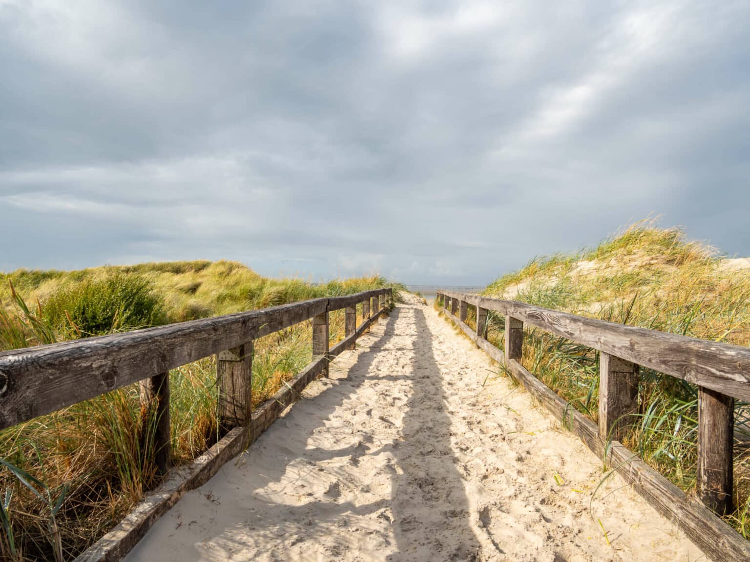 Foto: © iStock.com - Animaflora