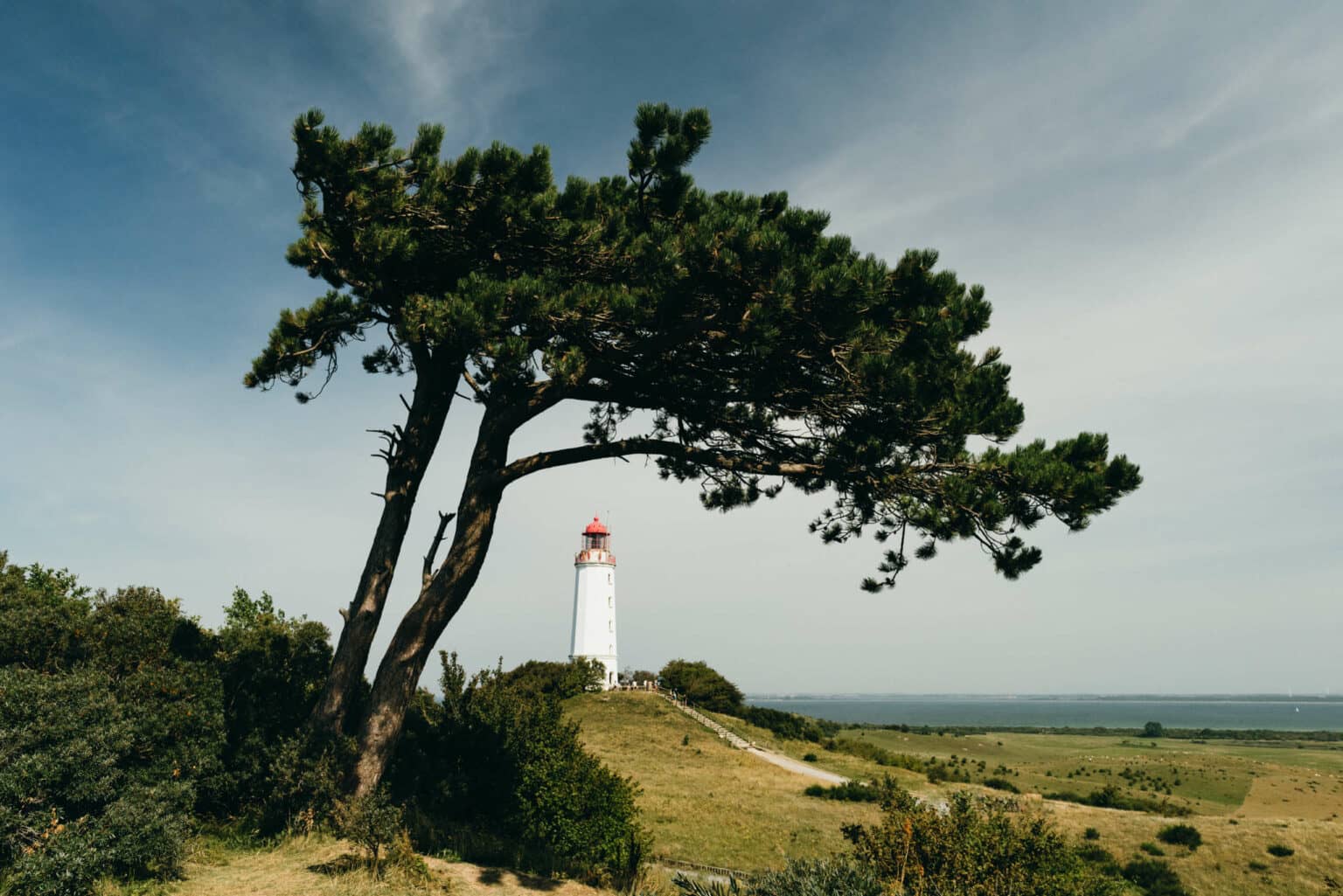 Hiddensee ist wunderschön – der Leuchtturm ist eines der Highlights der kleinen Insel. Foto: © Sandra Westermann - iStock