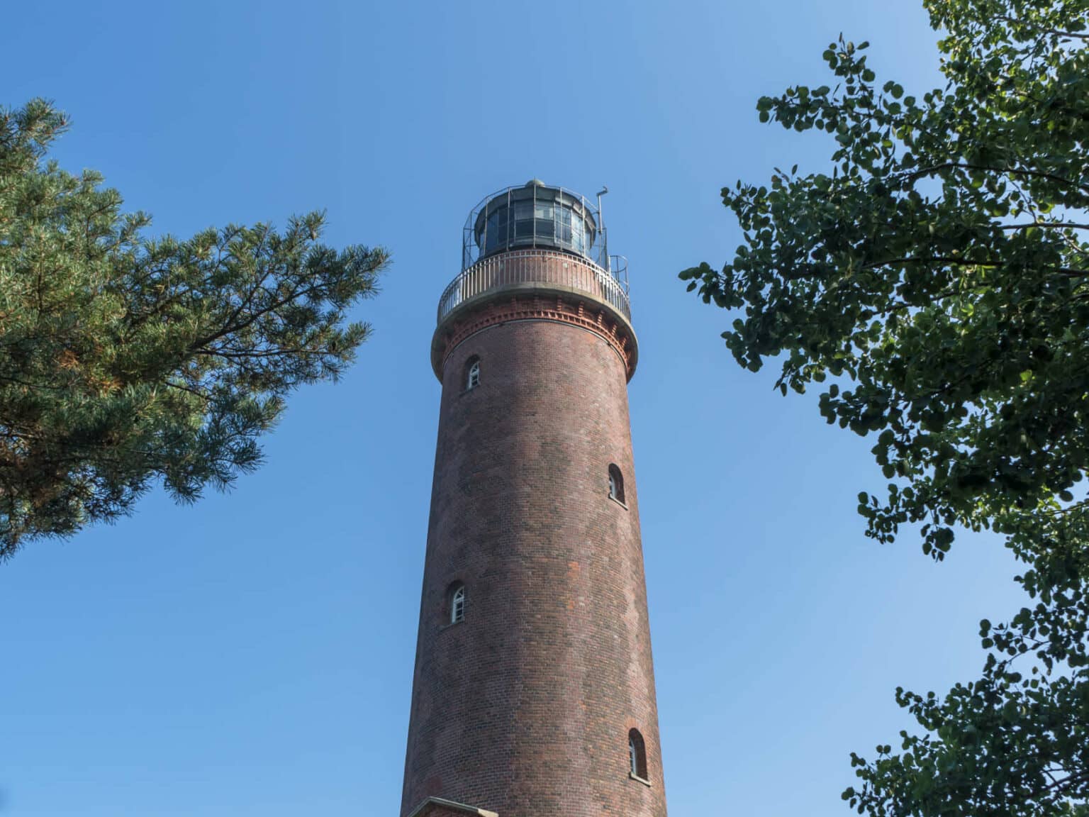 Aus der Froschperspektive erhebt sich der braune backsteine Leuchtturm Darßer Ort, um ihn rum liegen Bäume, der Himmel darüber ist strahlend blau.