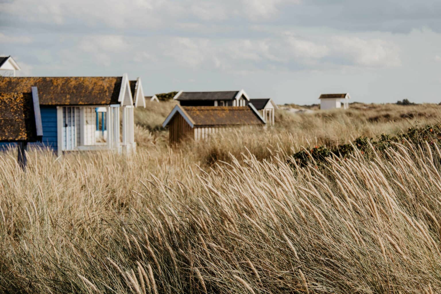Die Dünen von Skanör schmücken bunte Strandhütten. 