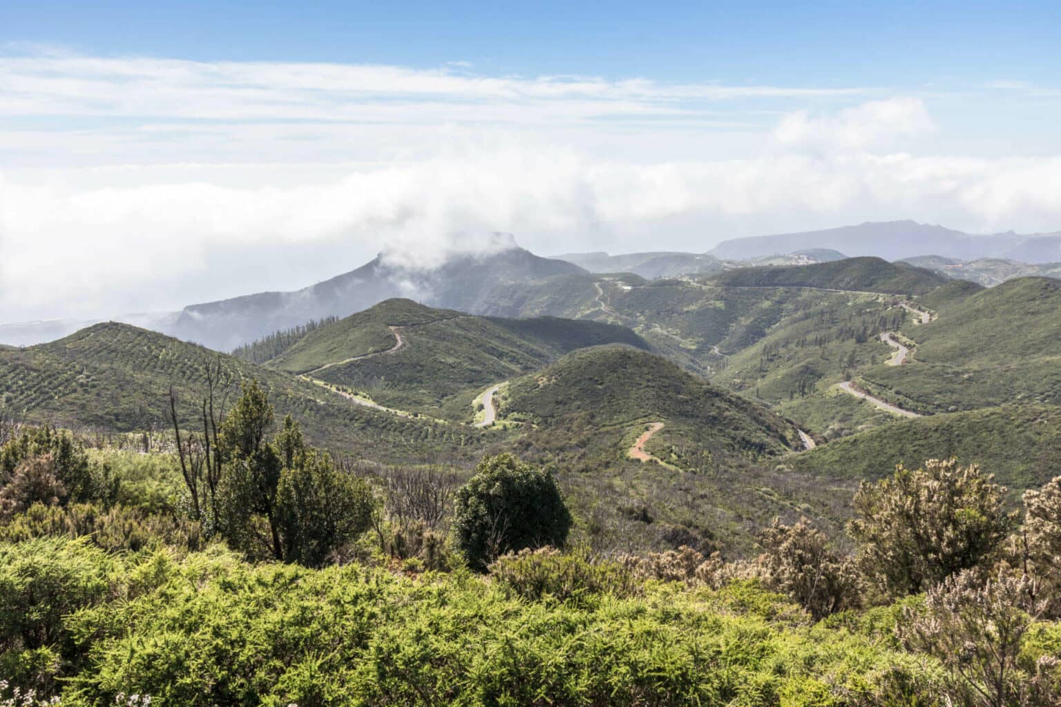 Vom Alto de Garajonay hast du eine perfekte Rundumsicht über La Gomera.