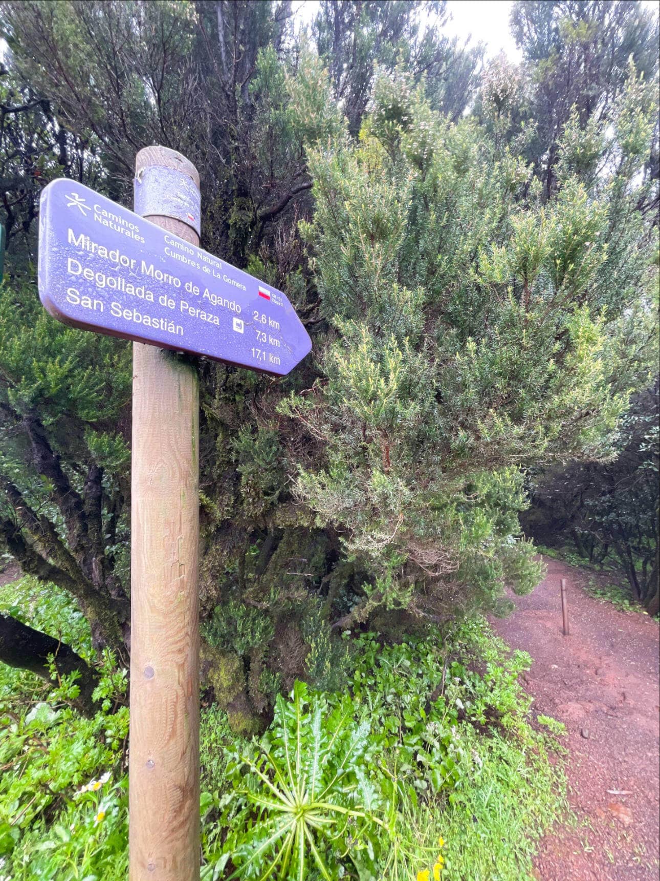 Der Weitwanderweg GR 131 führt quer über die Insel. Die Strecke ist bestens ausgeschildert und führt durch mehrere Klimazonen.