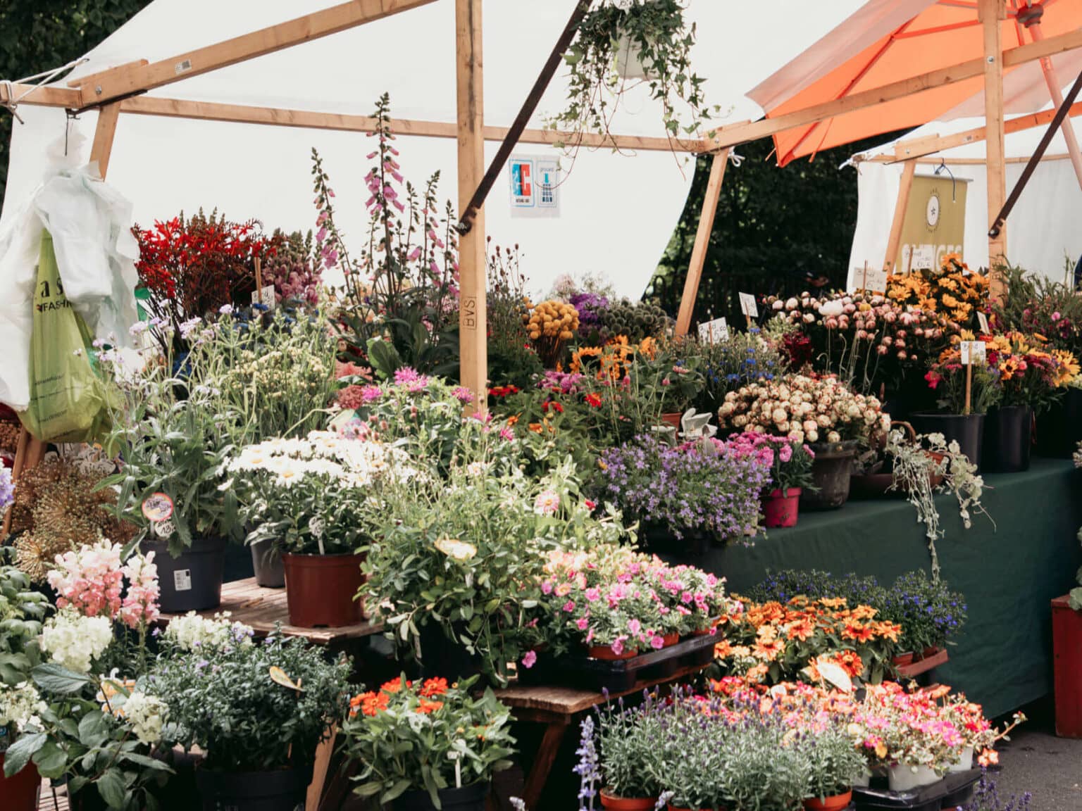 Auf dem Kollwitzplatz in Berlin werden die unterschiedlichsten Blumen verkauft.