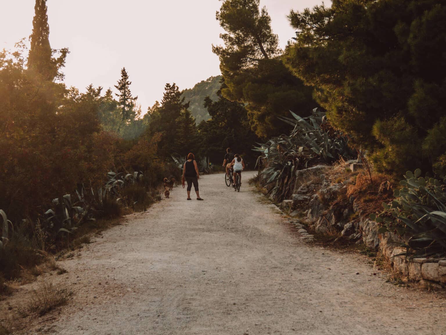 Auf dem Weg den Marjan, den Hausberg von Split, hinauf kann man die Natur genießen.