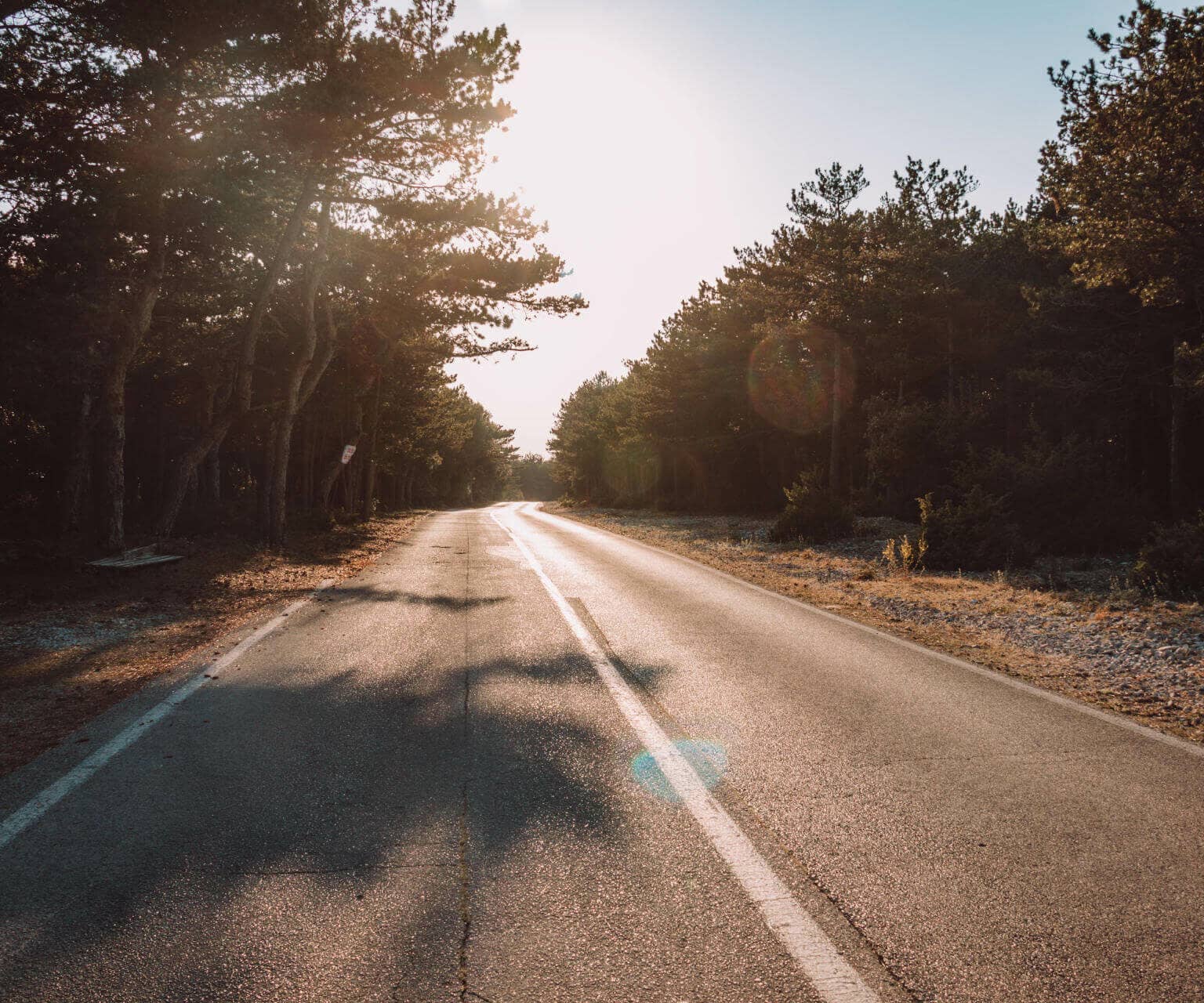 Über die von Bäumen umgebenen Straßen geht es durch Bracs Städte zu den Sehenswürdigkeiten und Geheimtipps.