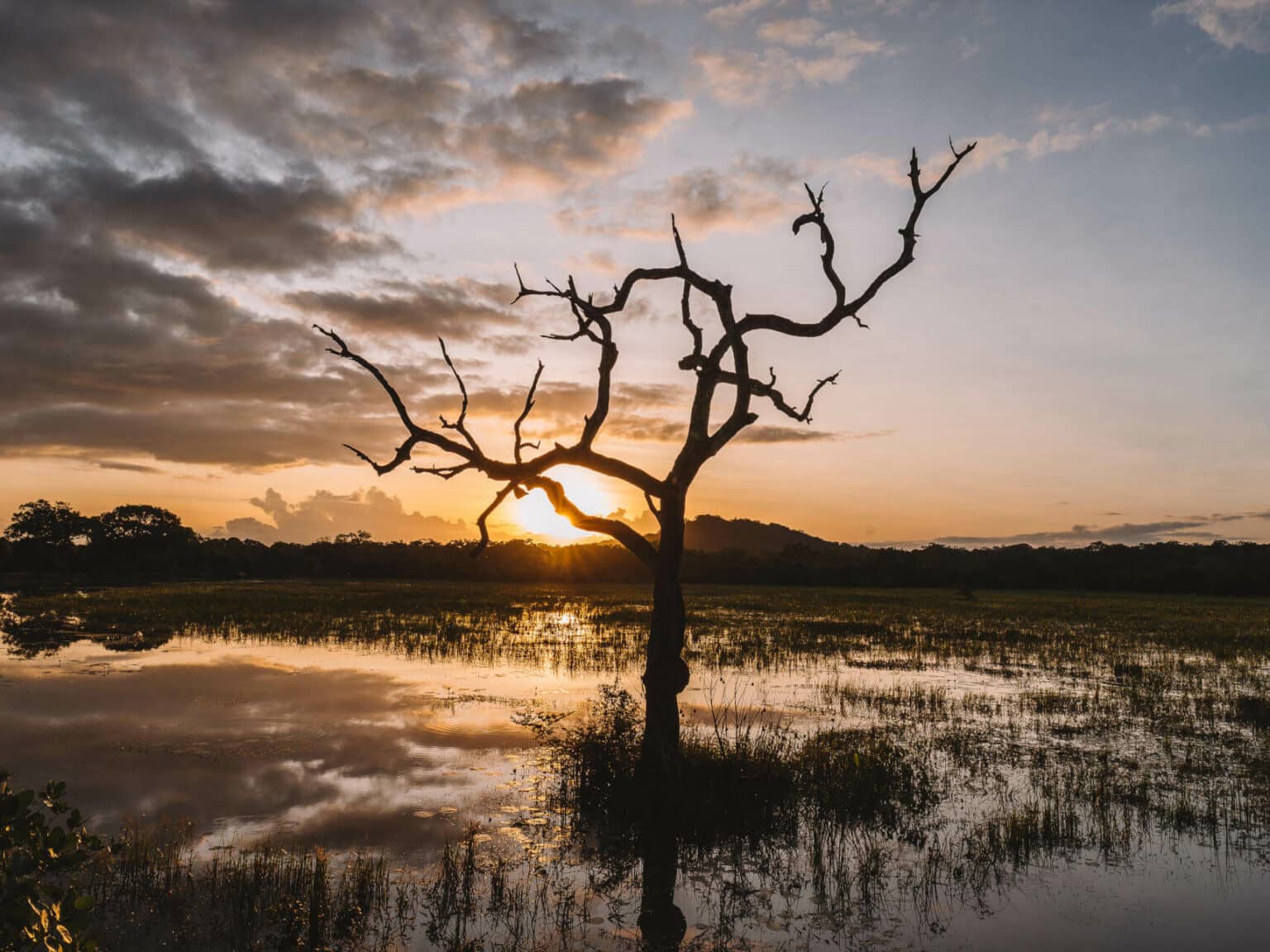 Der Yala Nationalpark auf Sri Lanka ist eine Sehenswürdigkeit, die man auf jeden Fall gesehen haben sollte.