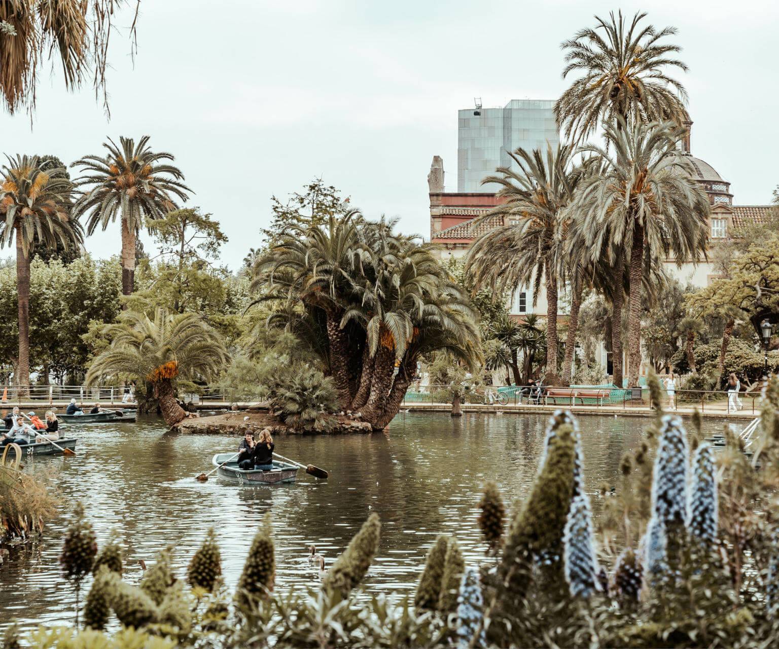 Für eine entspannte Pause in Barcelona kann man im Parc de la Ciutadella auf einem der Ruderboote zwischen Palmen entspannen.
