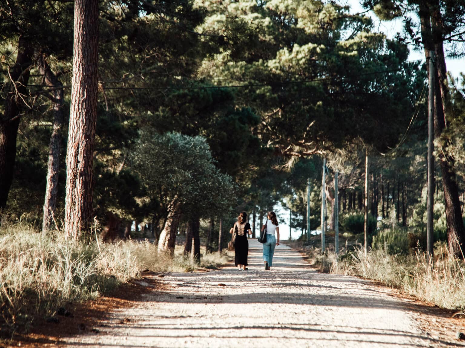 Ein gute Tipp für einen entspannten Spaziergang: Waldweg hin zum Strand