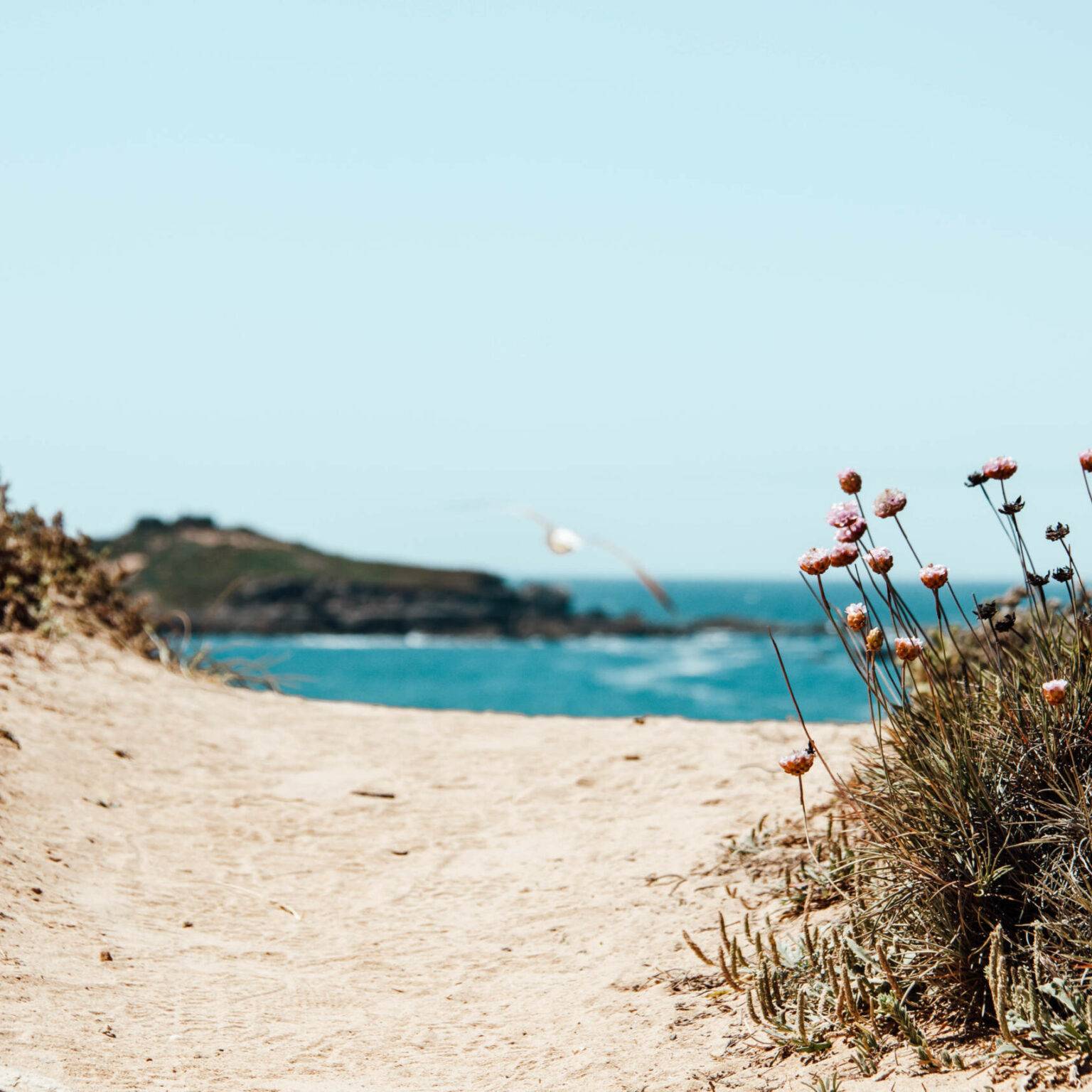 Ein beigefarbener Sandstrand hin im Alentejo Gebiert zum türkis blauen Meer
