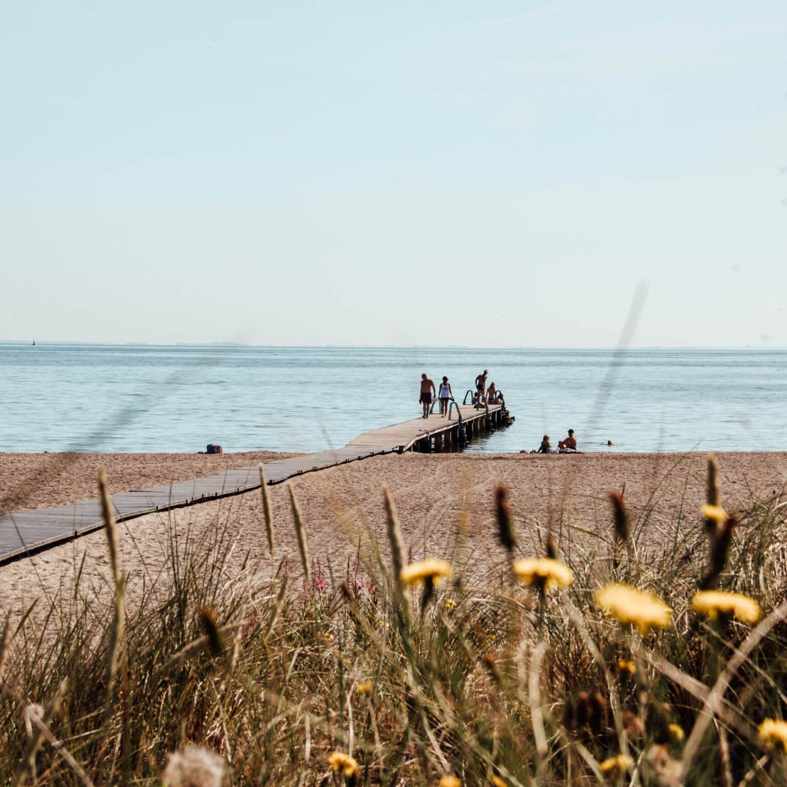 Bei einem reinen Städtetrip muss es in Kopenhagen nicht bleiben, denn ein wunderschöner Sandstrand verbirgt sich hinter den Dünen der Stadt.