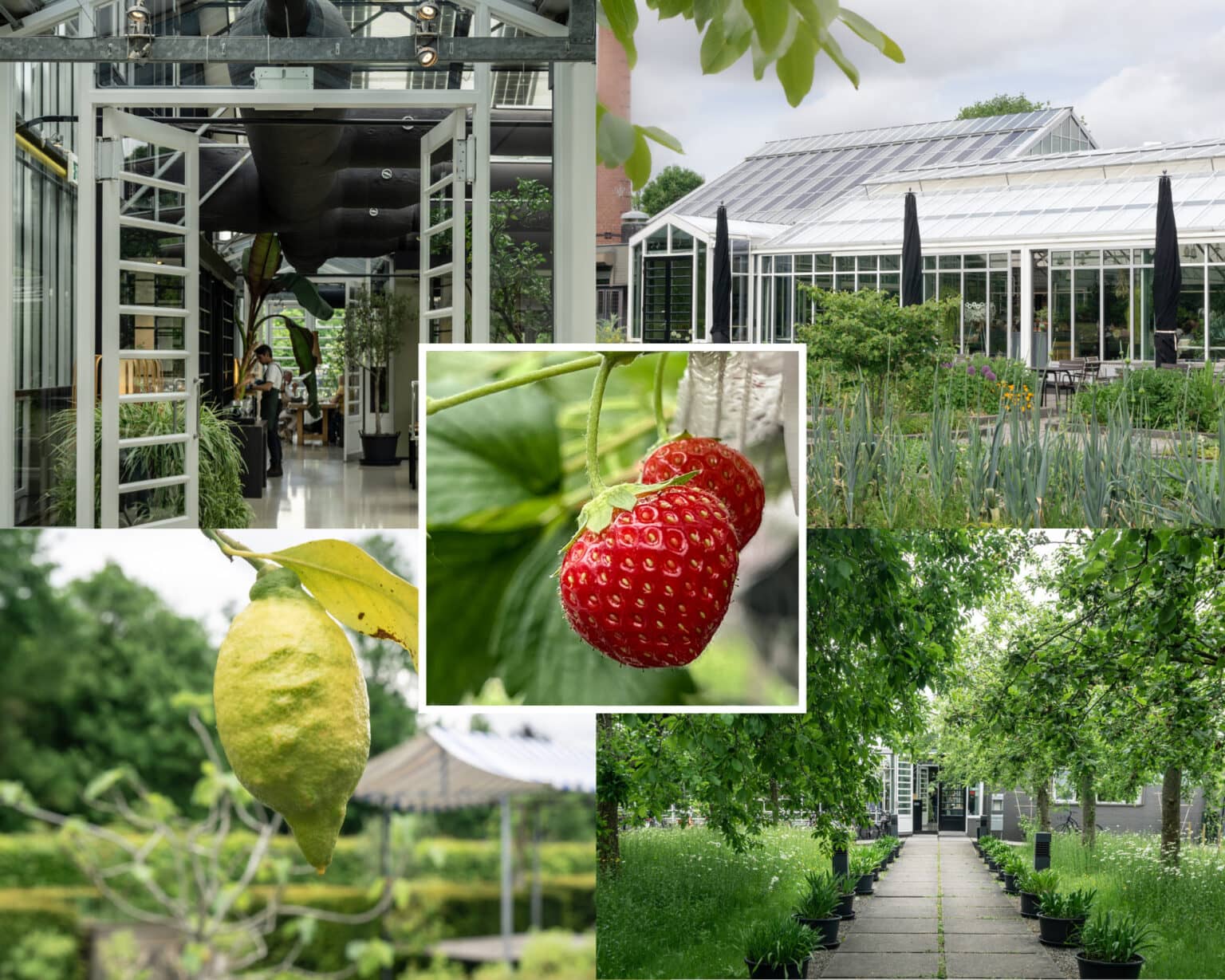Das feine Bio-Restaurant „De Kas“ im Frankendael Park arbeitet nach dem Grundsatz „farm to table“. Frischer und regionaler geht es nicht.