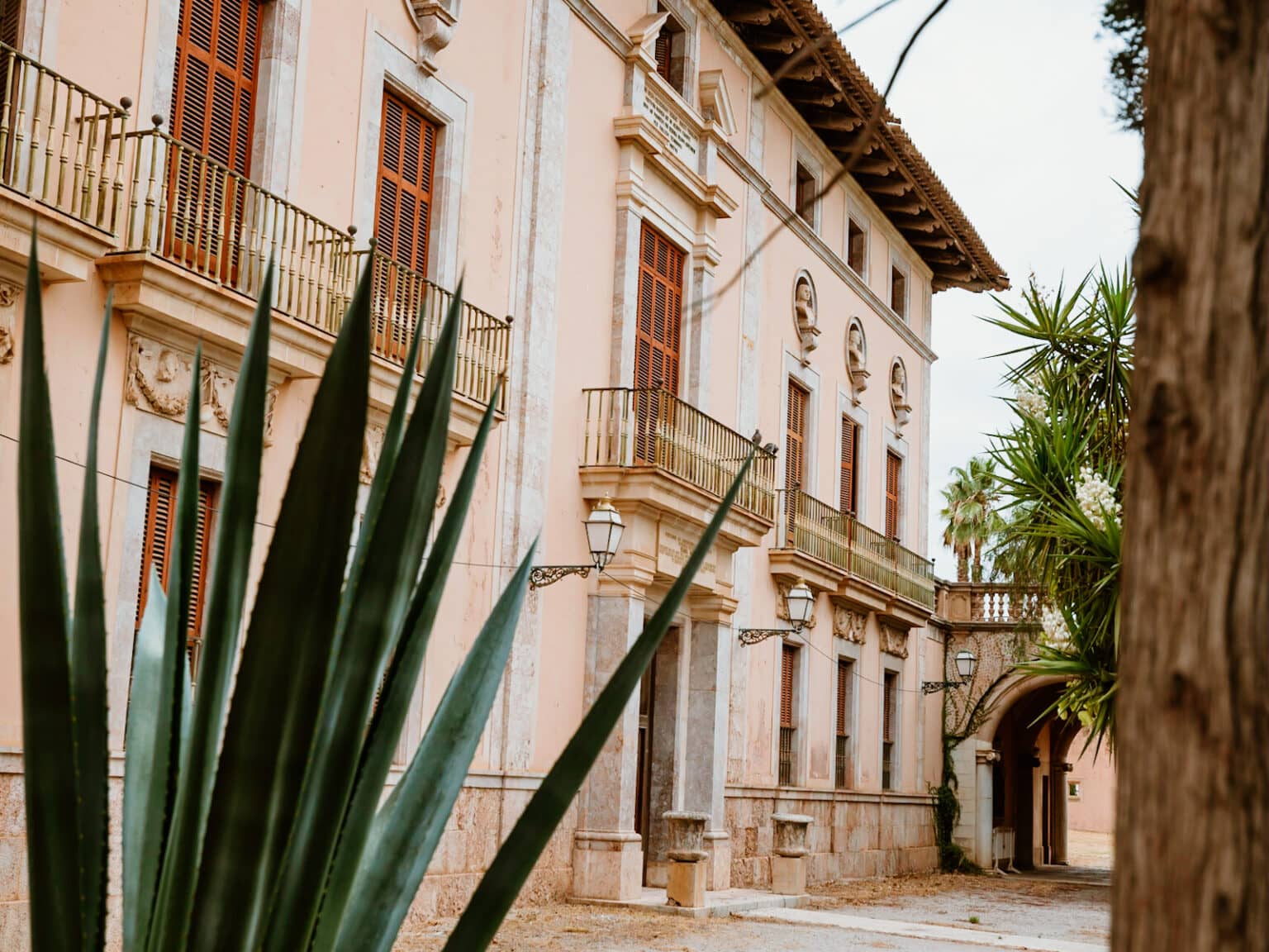 Eine riesige Sukkulente im Vordergrund der verlassenen Villa Palau d’Aimans auf Mallorca.