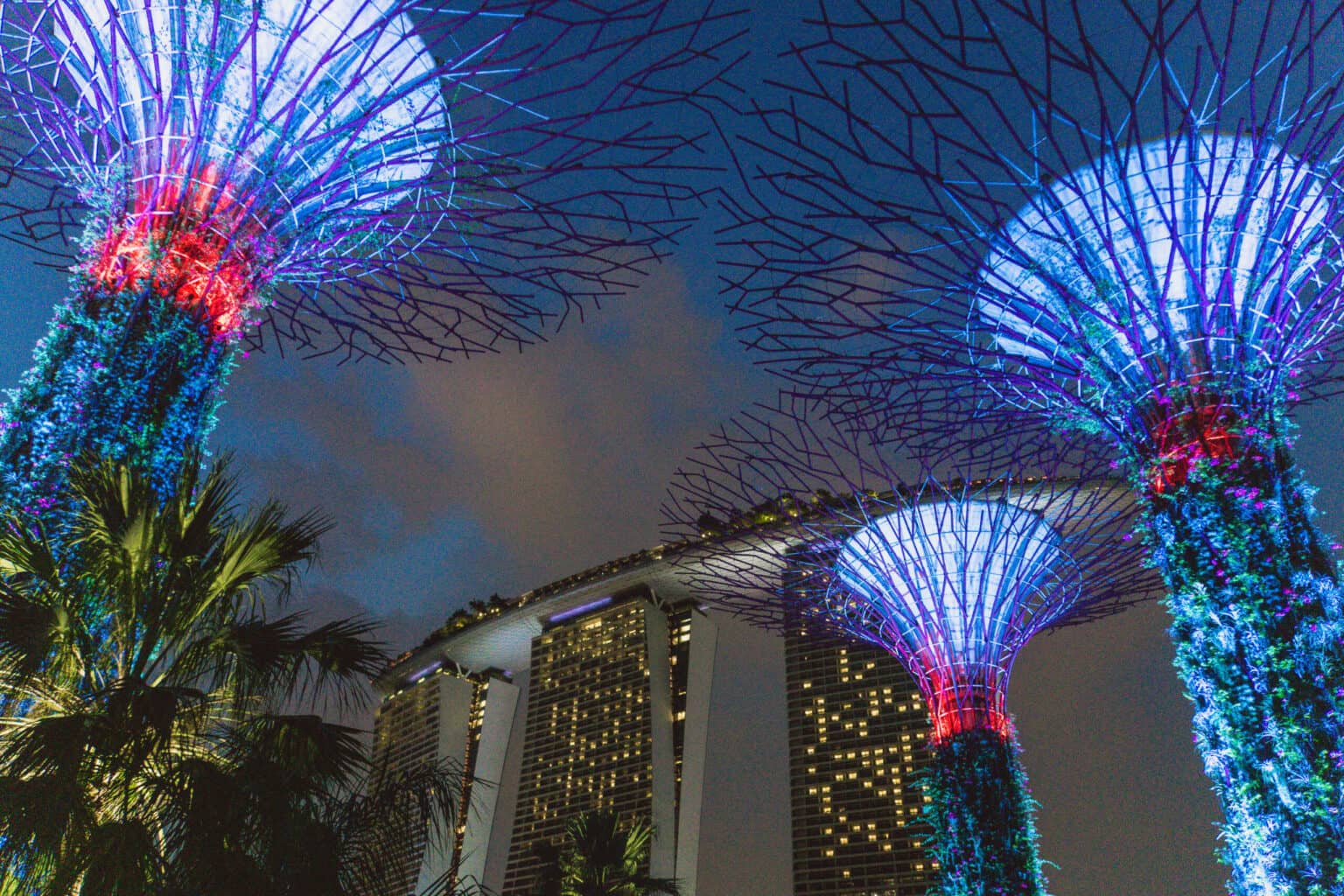 Besonders nachts sind die Supertrees unglaublich beeindruckend.