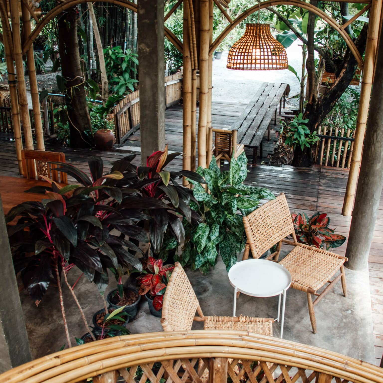 Das Nature Café in Bangkok mit einem Interieur aus Dschungelpflanzen und Mobiliar aus natürlichen Materialien.